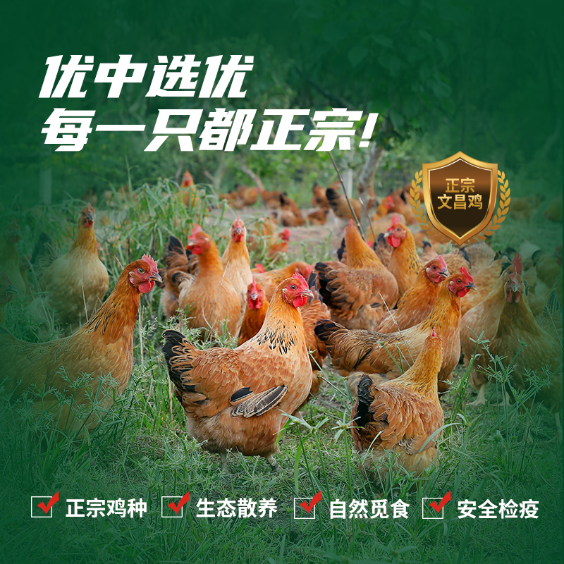 花拾海(HUASHIHAI)正宗海南椰子文昌鸡3-4人份套餐高清大图