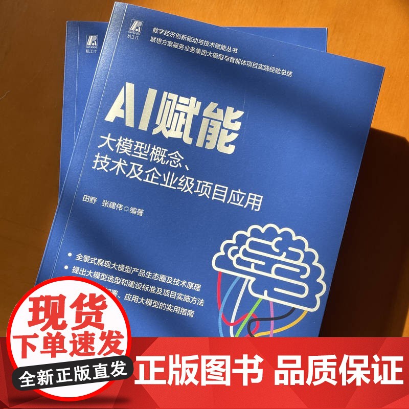 AI赋能 大模型概念 技术及企业级项目应用 deepseek教程 张建伟 著 计算机与互联网高清大图