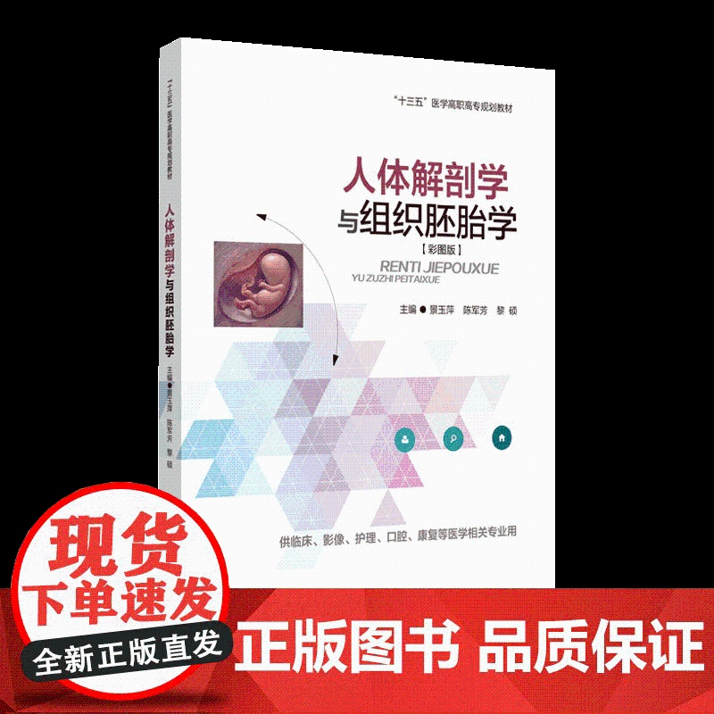 《人体解剖学与组织胚胎学》(彩色全媒体版)人体装组织学、人体胚胎学高清大图