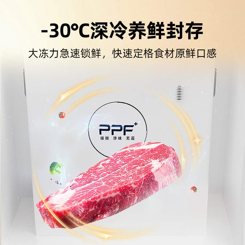 星星BD/BC-200WN/XB商用风冷冰箱200升1级能效节能设计高清大图