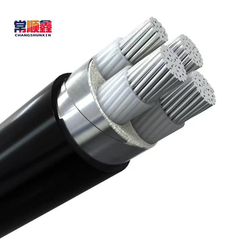 常顺鑫 低压铝芯电缆ZC-YJLV22 3×10+1×6 米