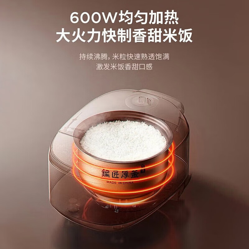 九阳电饭煲 30Z2高清大图