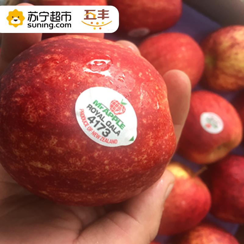新西兰加力果(150克以上/单果)/12粒
