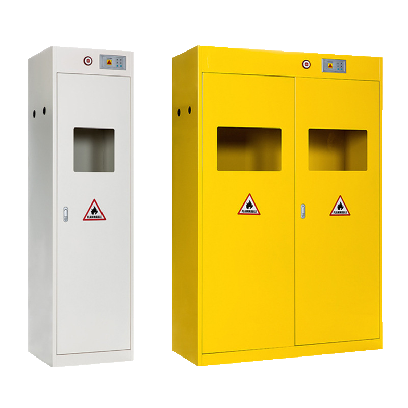 DXBG气瓶柜单双三瓶气瓶柜实验室气体安全钢瓶柜全钢智能带报警气瓶柜高清大图