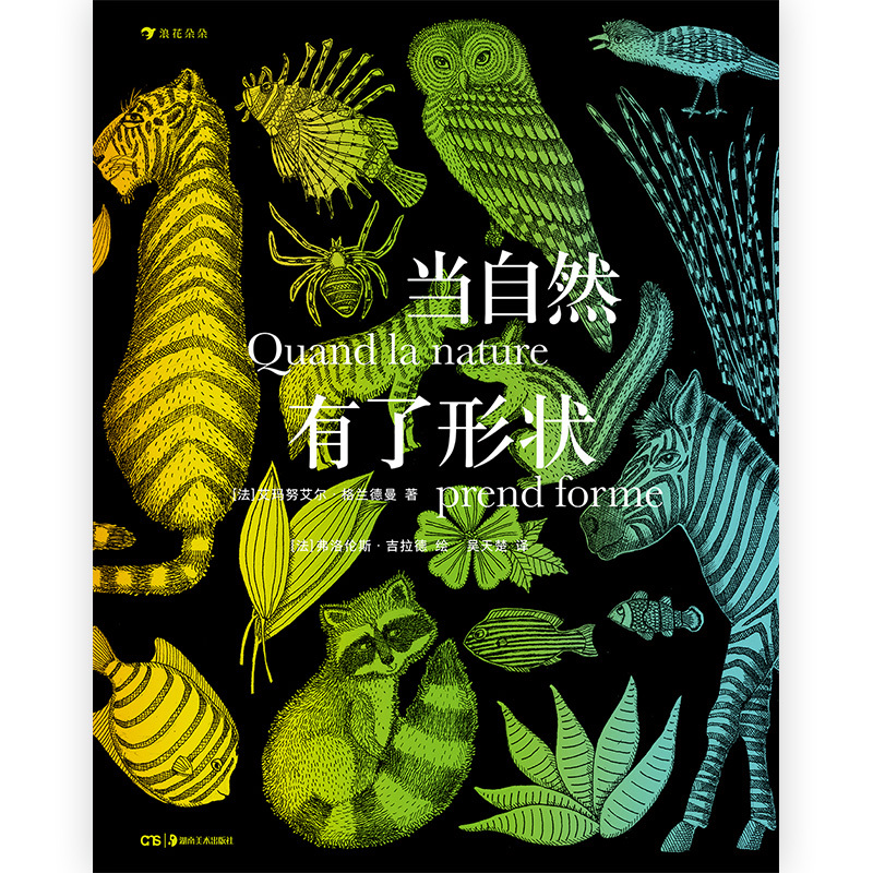 [正版] 当自然有了形状 插图几何形状动物植物自然分类图鉴儿童科普百科书籍