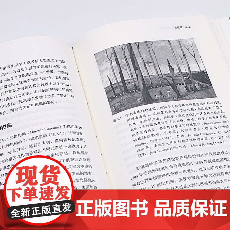 世界文明中的作物迁徙 白馥兰 农业文明 世界文明史高清大图