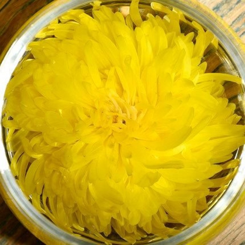 滇迈 金丝皇菊 一杯一朵 特级黄菊贡菊 大菊花茶 共20朵 /盒