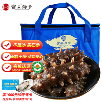 宫品即食海参 品惠系列500g自用送人均可（A/B2个规格可选）