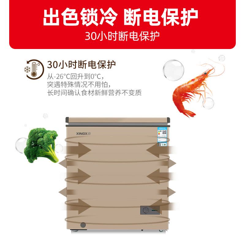 星星(XINGX) 101L 家用冷柜 卧式冷柜 冷藏冷冻转换柜 安全圆角 微霜系统 节能省电 BD/BC-101R图片