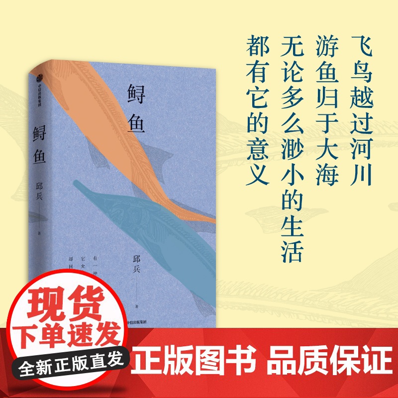 鲟鱼 邱兵著 越过山丘作者 澎湃新闻创始人 天使望故乡 当下中国人的众生相 收录最新作品七篇 现代当代文学 鲟鱼书 中信高清大图
