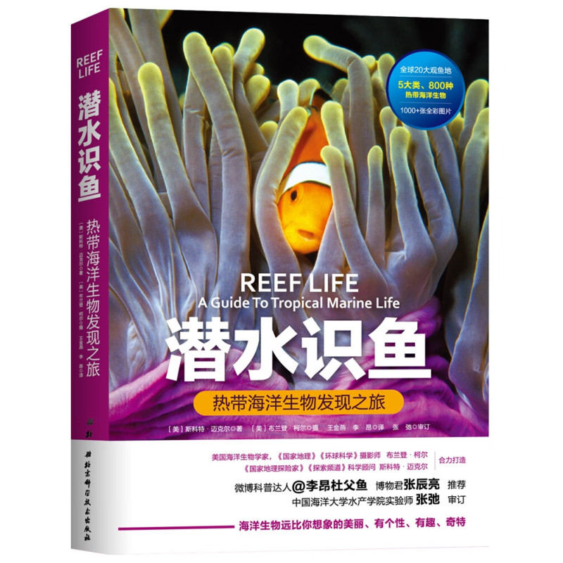 潜水识鱼:热带海洋生物发现之旅