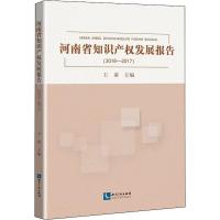 河南省知识产权发展报告(2016-2017) 王肃 著 王肃 编 经管、励志 文轩网