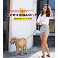 蓝色单色款P链一体式款 通用 狗狗牵引绳大型小型中型犬狗链子遛猫绳子金毛拉布拉多牵狗绳子