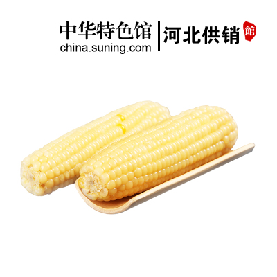 【中华特色】河北供销馆 糯妹子 白糯玉米200g*10根 真空包装熟制鲜食玉米 新鲜粘玉米杂粮粗粮早餐 河北张家口特产