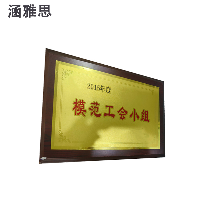 涵雅思 奖牌 300*400mm 块