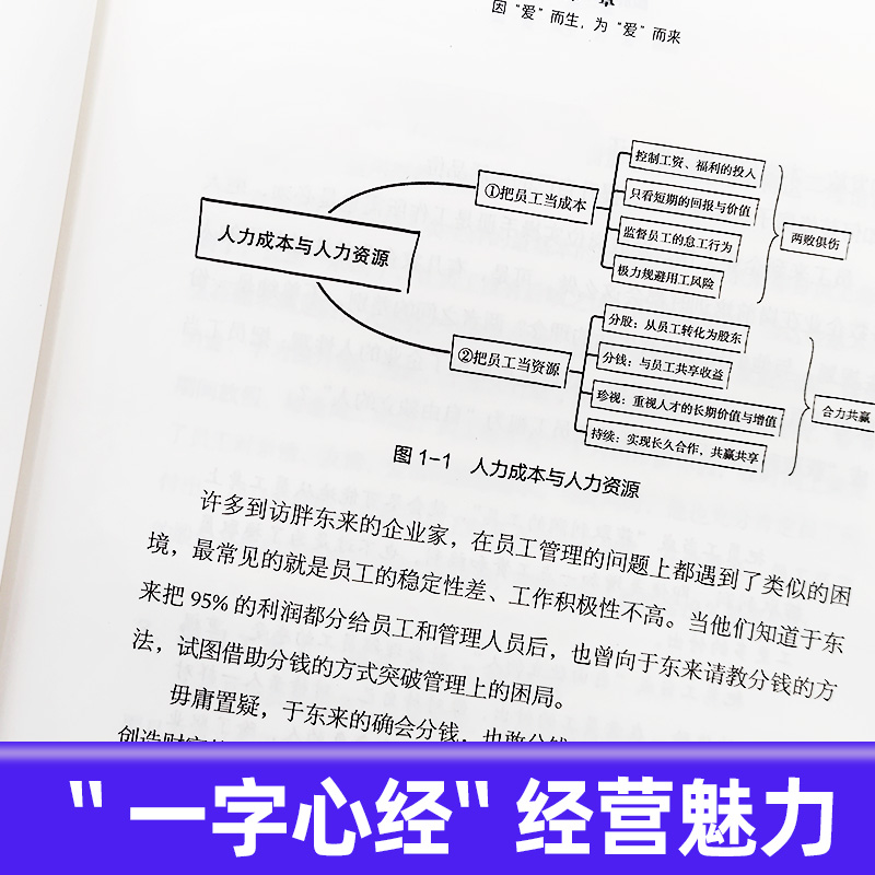餐厅经营管理一本通 [正版]跟胖东来学经营于东来新乡许昌胖东来揭示胖东来爆火背后的经营逻辑创新的经营模式企业文化经营理念高清大图