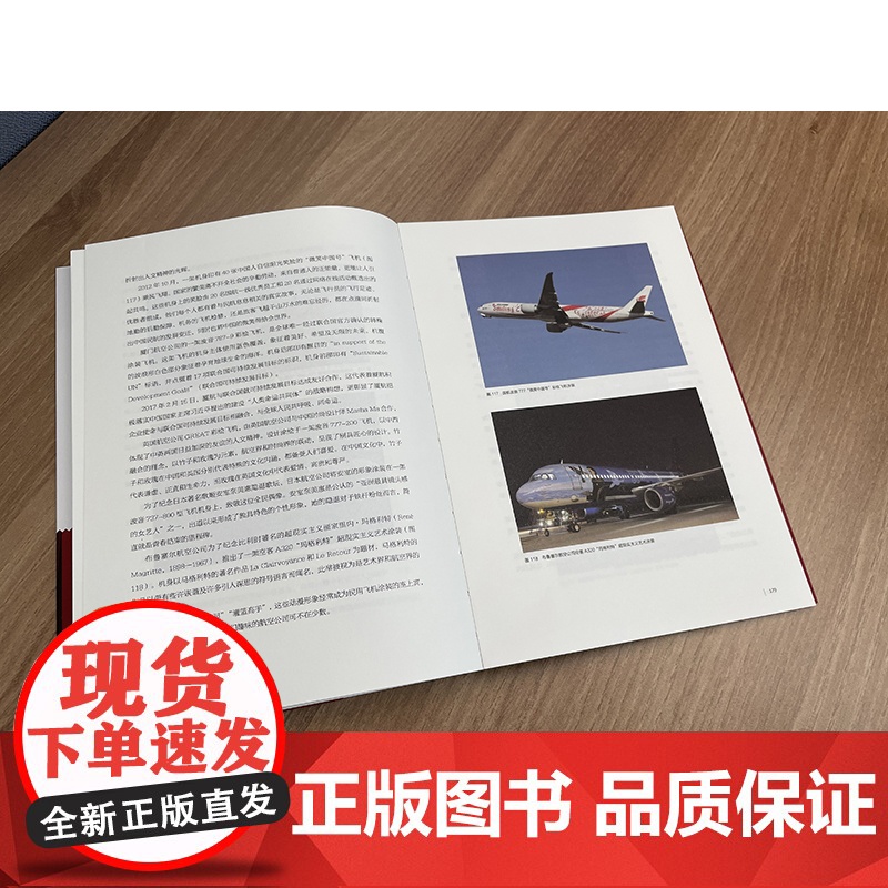 正版书籍 飞机内饰与涂装设计 飞机涂装历史传统工艺罗甬著上海人民美术出版社高清大图
