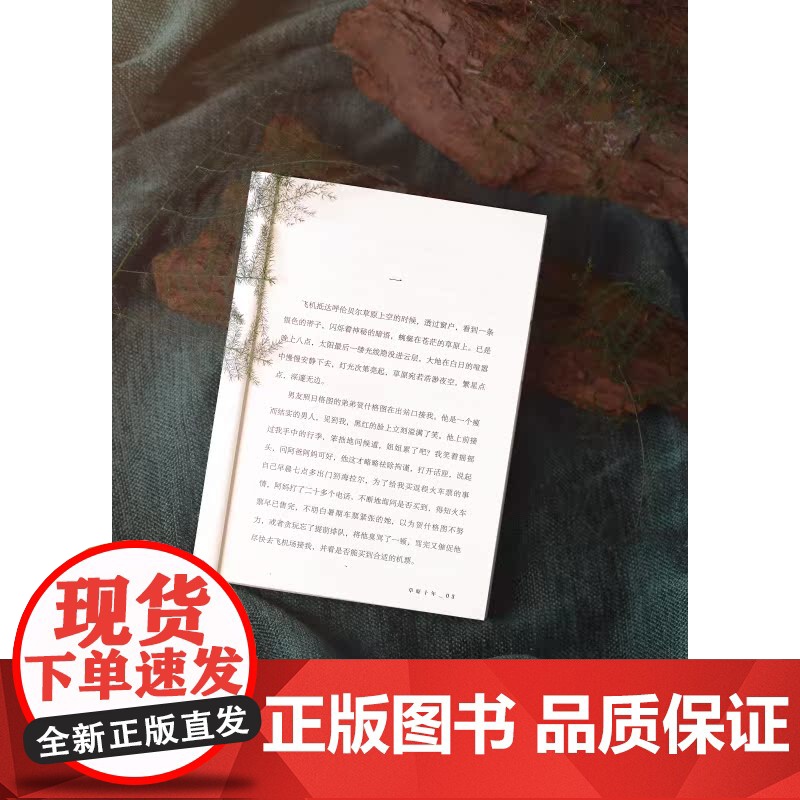 草原十年 安宁长篇散文集上海文艺出版社中国现当代文学呼伦贝尔草原随笔书小说正版图书籍高清大图