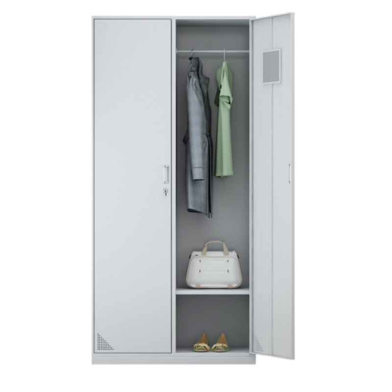 钢制二门更衣柜家用带锁储存物柜寄存工厂员工换衣柜铁皮卧室衣柜