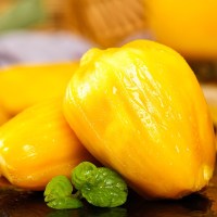 [西沛生鲜]海南黄肉菠萝蜜 新鲜水果 香甜可口 1个 净重35-40斤装 西沛水果