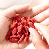 丰凯园实业 宁夏中宁红枸杞 250g/袋装*2 免洗大颗粒 苏宁自营 特产苟杞子茶