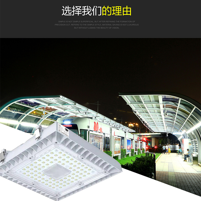 尚关(SHANGGUAN) 雨棚灯 SQ-Z10 AC220V LED 40W