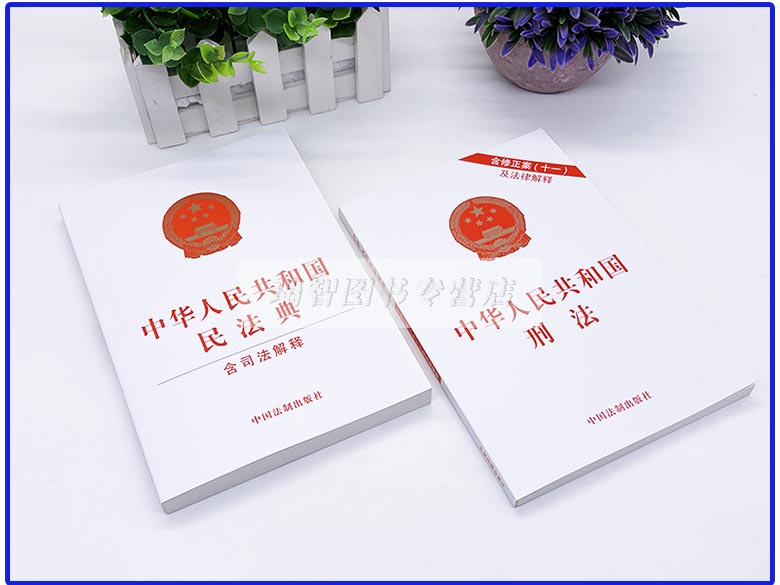 [正版]2023适用中华人民共和国民法典+刑法法条法律书籍全套2本民法典司法解释刑法含修正案十一单行本法律法规法律条文高清大图