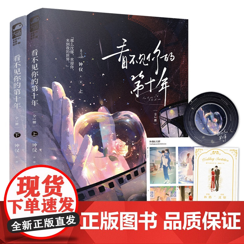 看不见你的第十年:全2册 钟仅著 清冷倔强 林循x眼盲情深 沈郁 看不见你的第十年,我拥有了你 青春小说实体书 大鱼新