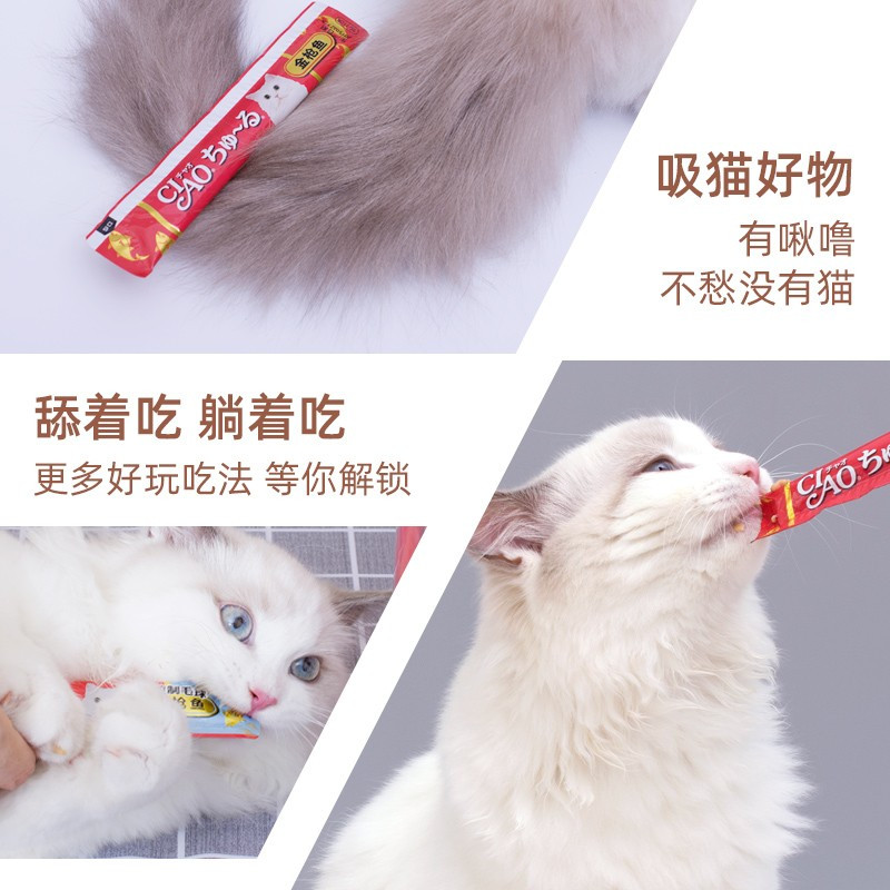 伊纳宝啾噜猫零食金枪鱼 14g×4条×6包