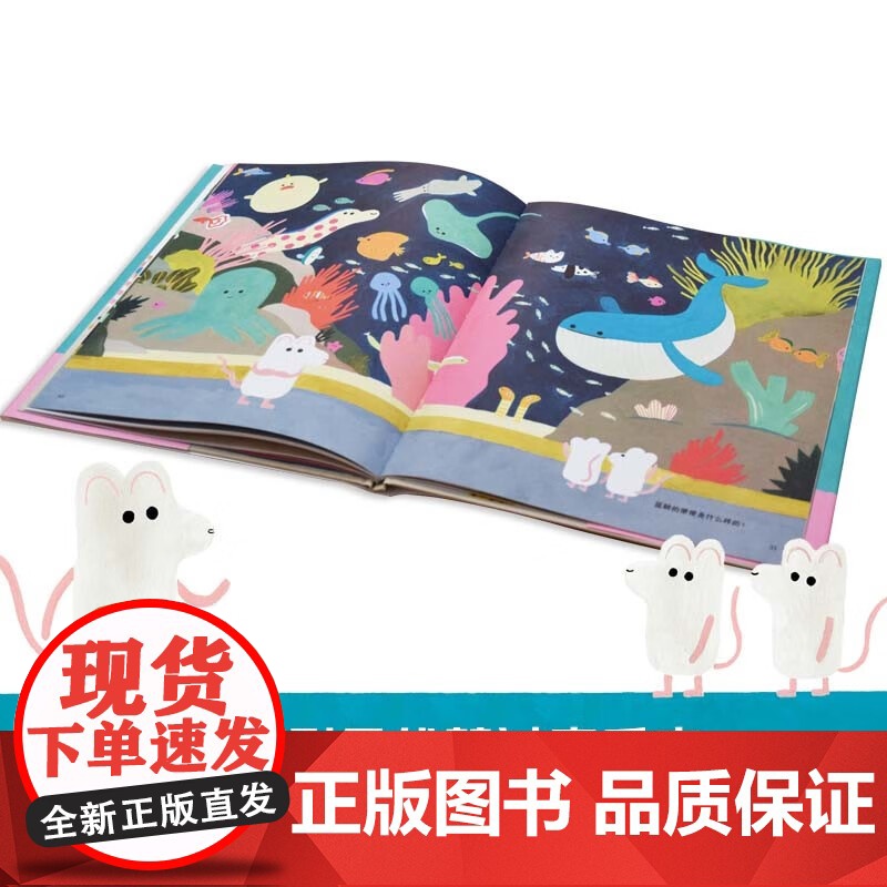玛丽安娜 科波哲思绘本系列 不许说便便 3-6岁 黛西·伯德 著 儿童绘本高清大图