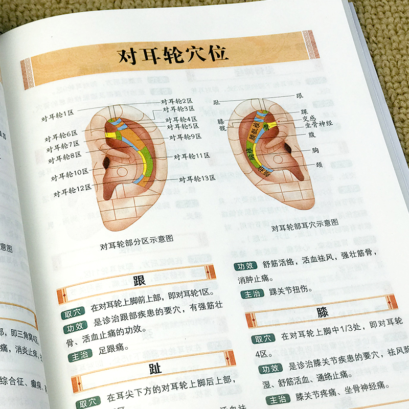 一学就会手部按摩 [正版]一学就会按摩套装一学就会手部按摩足部按摩头耳按摩 一穴一图精准定位一看就懂讲解细致居家头耳手足高清大图