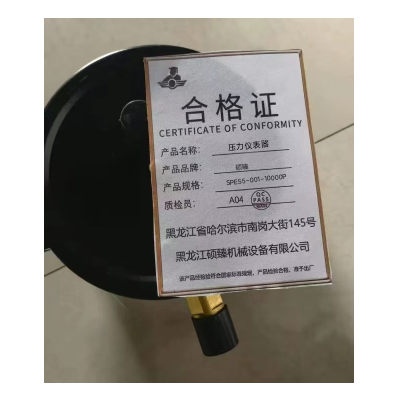硕臻 压力仪表器 SPE55-001-10000P 块高清大图