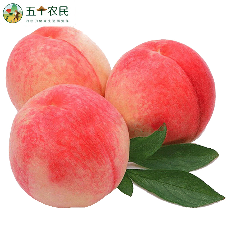 五个农民新鲜水蜜桃5斤带箱装(单果克重150g+)装现摘脆桃毛桃季新鲜现摘自营生鲜水果毛桃子孕妇应季油脆甜桃整箱
