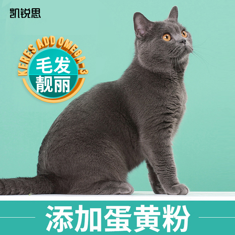 凯锐思英短猫粮专用蓝猫幼猫1-4个月成猫深海鱼肉猫食天然粮20斤