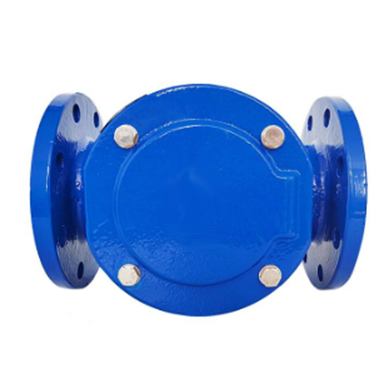 兴酉 法兰橡胶瓣止回阀 DN50 个高清大图