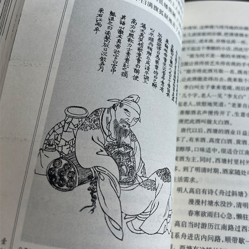 中国古镇 布衣西塘 [正版] 中国古镇 布衣西塘 中国古代城镇历史民俗文化 了解当地江南风俗古建筑历史发展 江苏凤凰教育高清大图