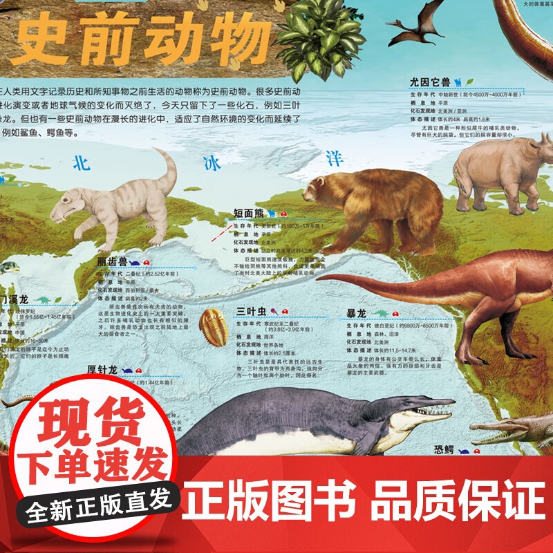 史前+海洋动物地图 墙贴儿童房专用超大挂图大尺寸高清远古恐龙书儿童科普百科全书启蒙高清大图