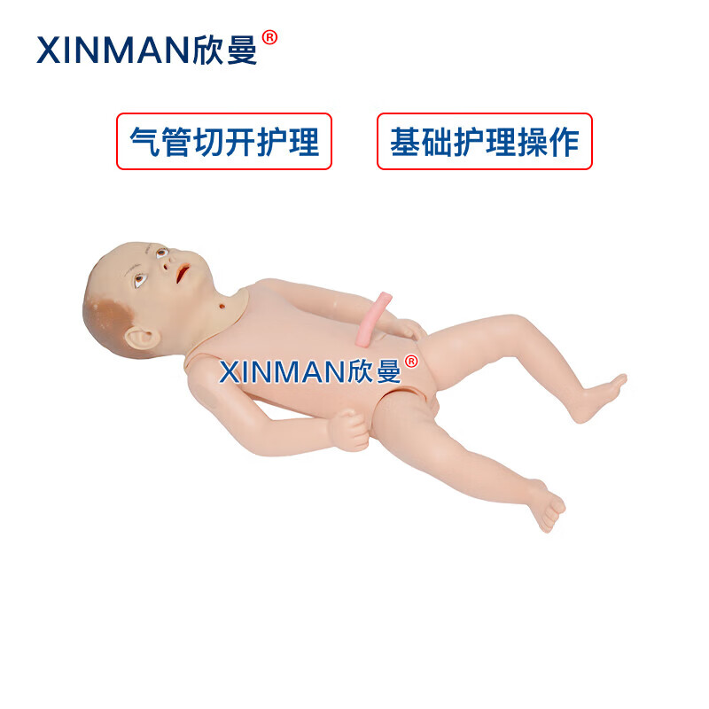 欣曼科教 高级儿童气管切开护理模型 小儿气管切开模型XM-H24高清大图