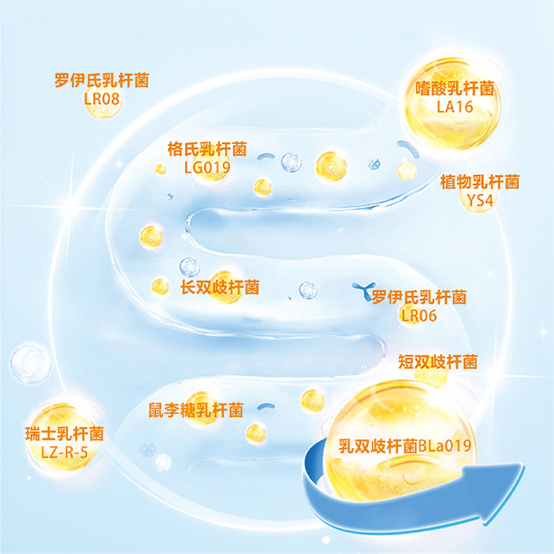 甜元益君能素益生菌蛋白粉固体饮料450g(15g*30包)/罐