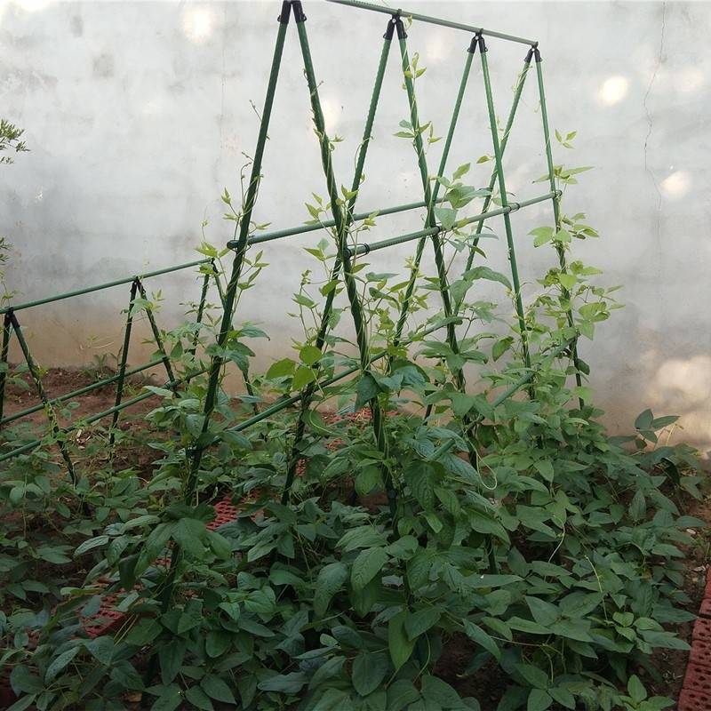 藤印象花架花架爬藤架种菜架子园艺花架花园阳台藤印象花爬架植物豆角黄瓜架葡萄架户外 价格图片品牌报价 苏宁易购万寻家装专营店