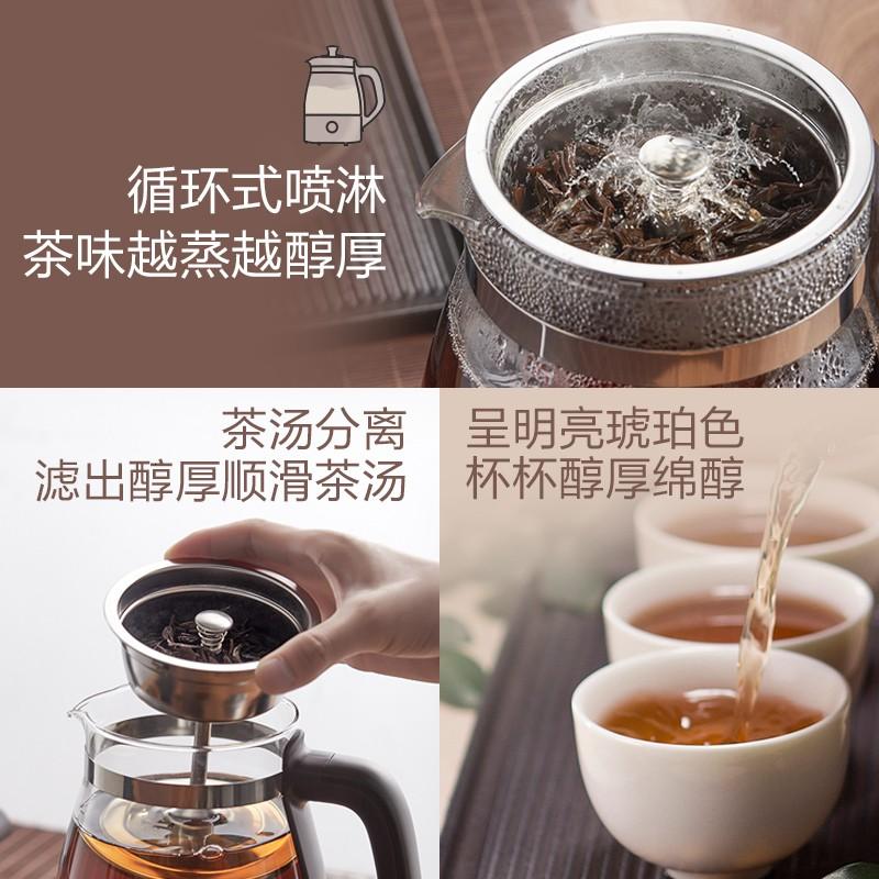 小熊(Bear)煮茶器养生壶蒸汽喷淋式玻璃加厚黑茶煮茶壶小型迷你办公室蒸茶器全自动泡茶炉电热烧水壶ZCQ-A10X1喷淋高清大图