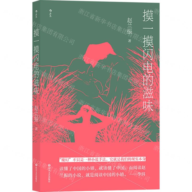 [N]摸一摸闪电的滋味-9787541157356高清大图