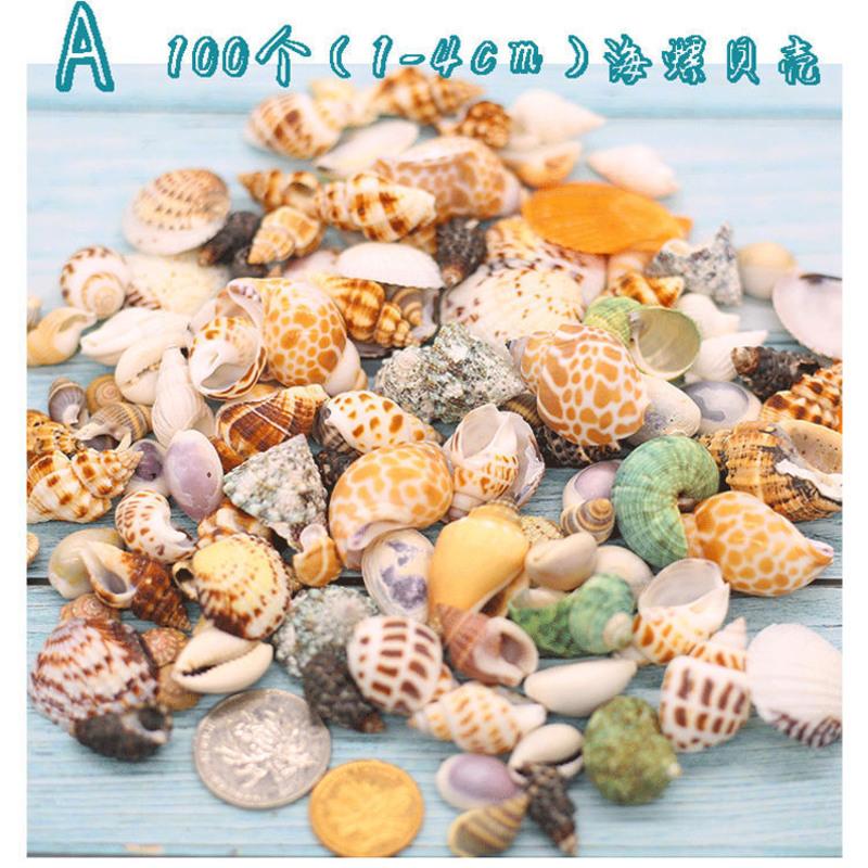 A款100个(1-4cm)海螺贝壳 天然贝壳海螺海星珊瑚螺贝鱼缸造景装饰品卷贝鱼寄居蟹替换壳组合