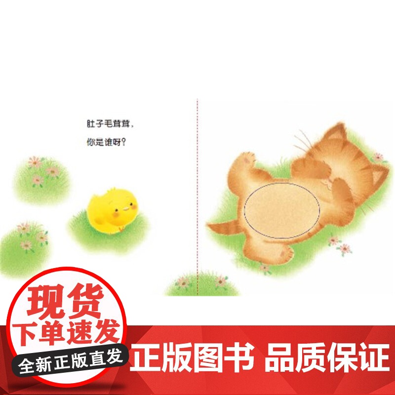 正版童书 小鸡球球触感玩具书谁的屁股毛茸茸?点读版纸板书触摸发声书翻翻书洞洞书认知书婴儿立体图画绘本 新星出版社高清大图