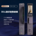 凡帝亚智能门锁FDY-C30人脸识别远程解锁，视频对讲、电子猫眼、移动侦测、抓拍照片、全自动开锁和上锁、LED