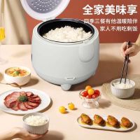 长虹CFB-20F5迷你公主煲400W家用多功能煮饭熬粥电饭煲可蒸可煮2L(一箱6台)