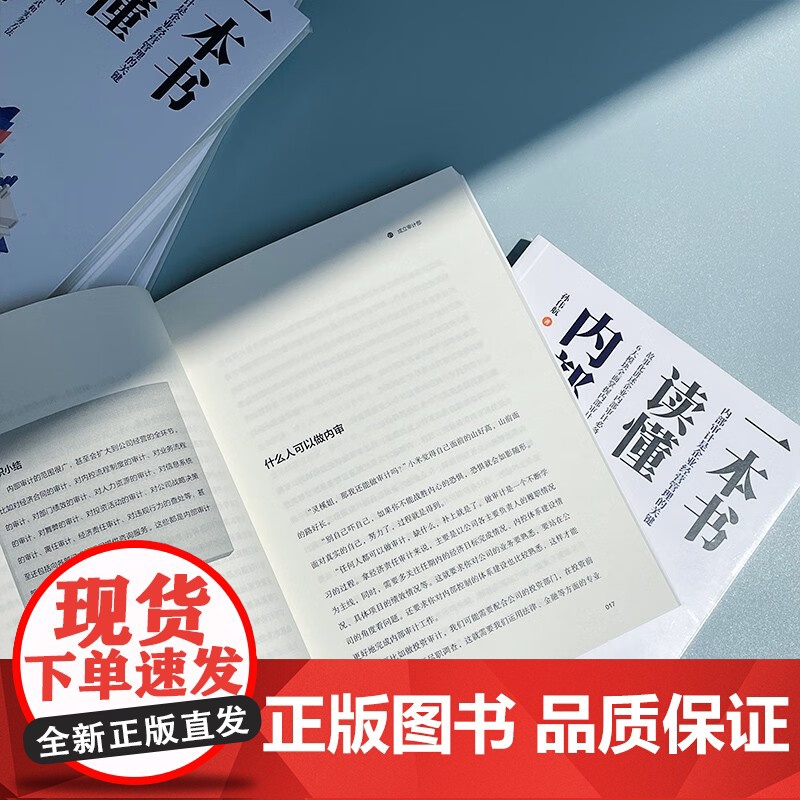 一本书读懂内部审计 孙伟航 著 企业战略发展 运营管理 内控体系 经济高清大图