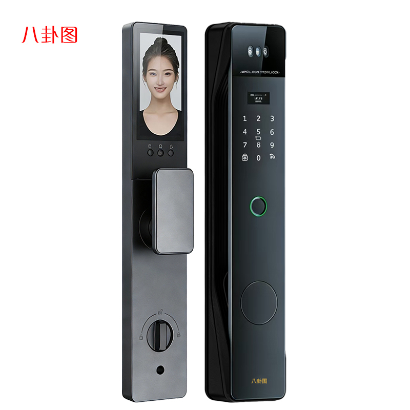八卦图智能门锁F09 3D人脸识别掌静脉电子猫眼主被动可视对讲远程开锁自动上锁 剧脸掌静脉9种开锁方式+包安装