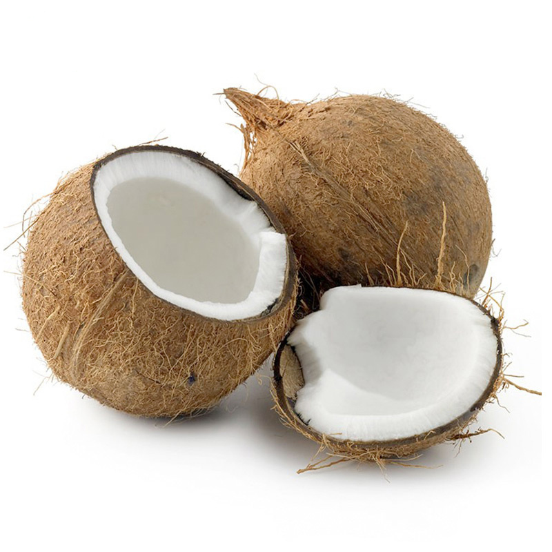 海南毛椰皇毛椰子 单果800g 老椰子椰青椰汁 新鲜水果 3个装