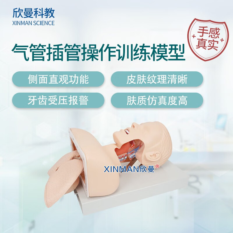 欣曼科教 高级成人气管插管操作训练模型 气道管理模拟人 急救气管插管模拟人XM-5800